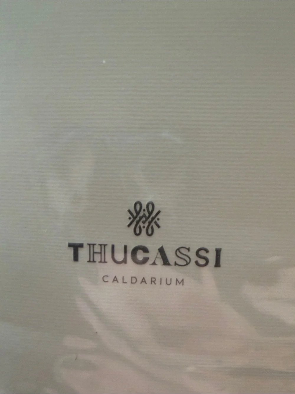 “THUCASSI” Fragrance 15.2floz Diffuser NIB